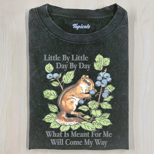 LITTLE BY LITTLE  DAY BY DAY  T-SHIRT